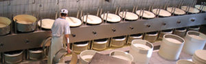 MSI Food Industry